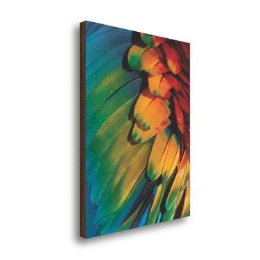 Imagem de Quadro Decorativo Assas Coloridas 50X70Cm