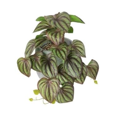 Imagem de Plantas Artificiais De Parede Verde Suspensas, Simulação De Folhas De 