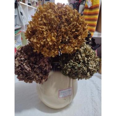 Imagem de Hortências tingidas - Casa do artesão de R Q SC