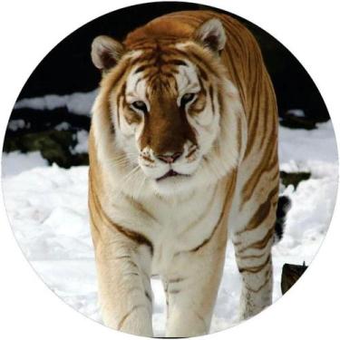 Imagem de Capa De Estepe Ecosport Aircross Leão Branco Com Marrom - Splody