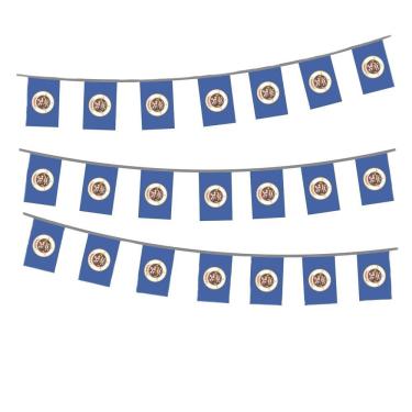 Imagem de Flag Bunting Minnesota State Minnesota State Mini Bandeiras de Poliéster 14x21cm