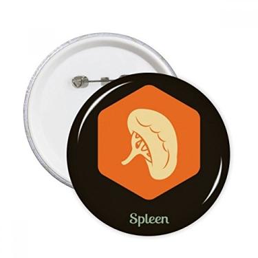 Imagem de Órgãos internos do corpo baço pinos redondos crachá botão emblema decoração acessório 5 peças