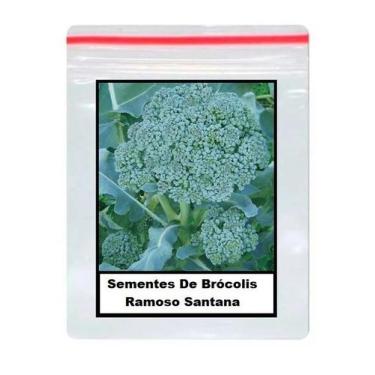 Imagem de Sementes De Brócolis Ramoso Santana 100 unidades - GDEZ