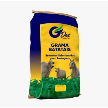 Imagem de Sementes de Grama Batatais 1kg para jardim e campo de futebol - no-bra
