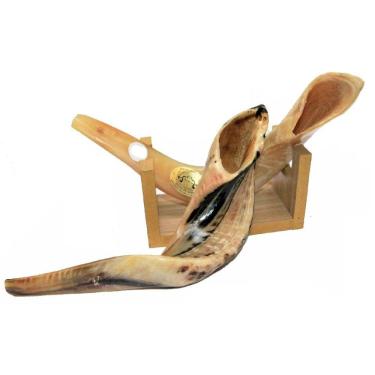 Imagem de Shofar Chifre De Carneiro De Tocar + Suporte - De Israel