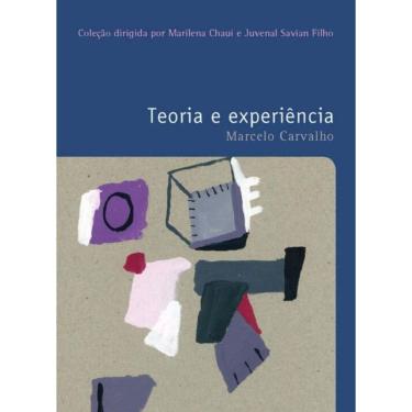 Imagem de Teoria E Experiencia - Vol. 26