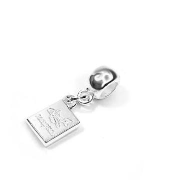 Imagem de Pingente Passaporte em Banho Prata Pulseiras de Berloques - Pulseiras 