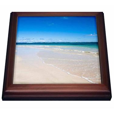 Imagem de 3dRose Danita Delimont - Praias - Vistas, Porto Rico, areia branca de uma praia tropical - CA27 IST0052 - Inti St. Clair - Trivets (trv_70143), Marrom, 8" x 8", 1