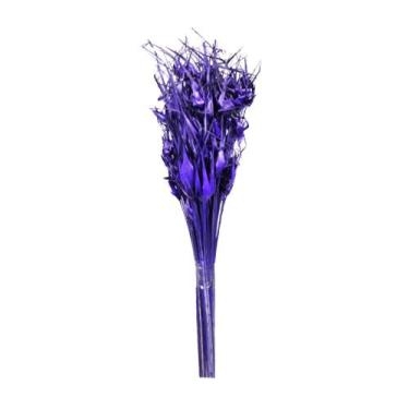 Imagem de Capim Estrela Flor Desidratada Buque Flores Secas - Pense Flores, Roxo