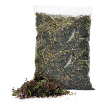 Imagem de Musgo Graminha Pc 4 Lts Para Orquideas e Decoração - Pense Flores