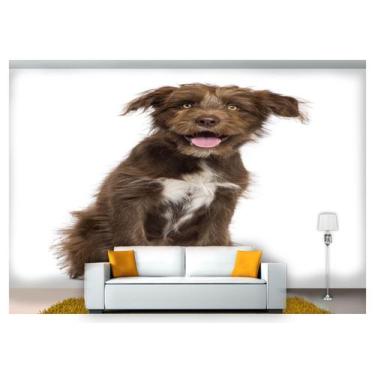 Imagem de Papel De Parede Cachorro Vira Lata Sentado 3D Anm244 - Você Decora