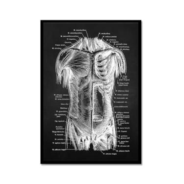 Imagem de Fundo preto anatomia humana arte médica impressões imagens esqueleto músculo pôster vintage educação pintura arte decoração de parede (SKU1,20.3x30.5 cm = (20x30 cm), moldura de metal preto)