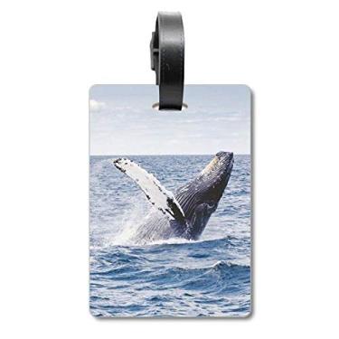 Imagem de Oceano jubarte peixe ciência natureza imagem mala etiqueta bagagem cartão pendurado Scutcheon etiqueta