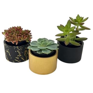 Imagem de Kit 3 vasos decorativos para casa em cimento para suculentas e plantas pequenas - 7cm diametro (Preto e dourado)