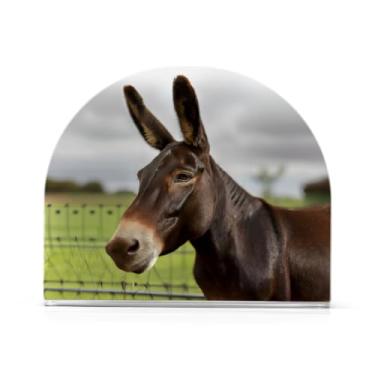 Imagem de JUZIHAI Suporte de guardanapo de mule de pasto para mesa dispensador de guardanapo de acrílico para mesa suporte de lenços independente para cozinha sala de jantar bar festa decoração de casa