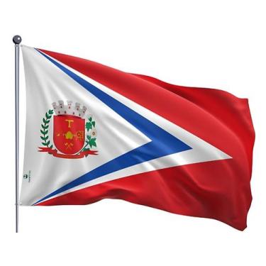 Imagem de Bandeira do Município de Americana Uma Face Estampada 90x128cm - Quali