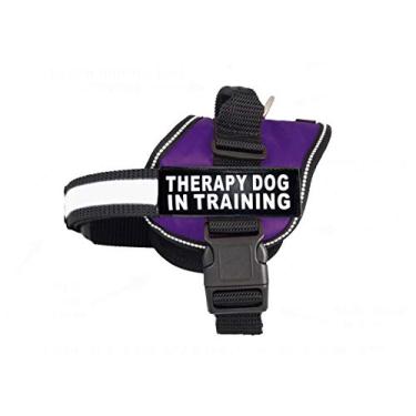 Imagem de Coleira de nylon para cães Therapy Dog in Training. A compra vem com 2 cães de terapia reflexiva em caminhos de treinamento. Meça seu cão antes de fazer o pedido (circunferência de 76 a 106 cm, roxo)