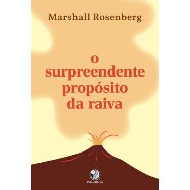 Imagem de Livro - O surpreendente propósito da raiva