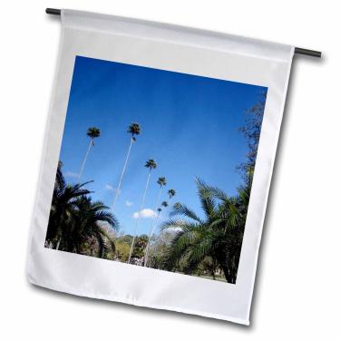 Imagem de 3dRose fl_20262_1 Bandeira de jardim com palmeira, 30 x 45 cm