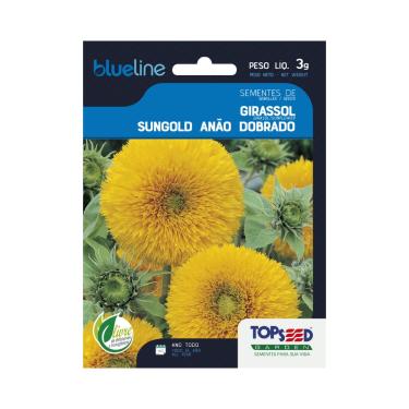 Imagem de Sementes de Girassol Sungold Anão Dobrado, Flores Amarelas, 3g, Cultivo Ano Todo