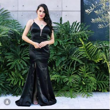 Imagem de Vestido de Gala classico - Harmoniande rosa