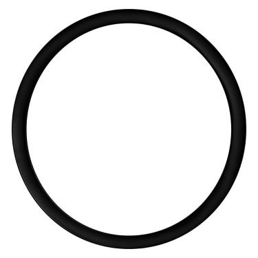 Imagem de Anel Oring Karcher para Lavadoras de Alta Pressão HD10-25 HD7-13 HD8-15 HD10-18 HD12-15...