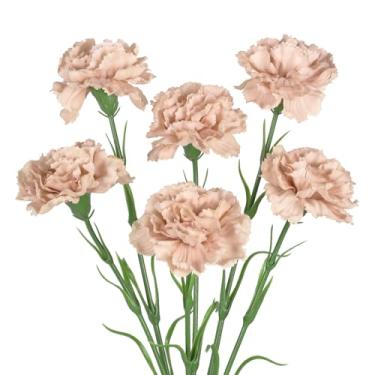 Imagem de IPOPU Cravos de flores artificiais, 6 peças de flores bege de toque real 50 cm de haste longa cravos falsos para vasos altos, decoração de mesa de festa de casamento em casa (bege)