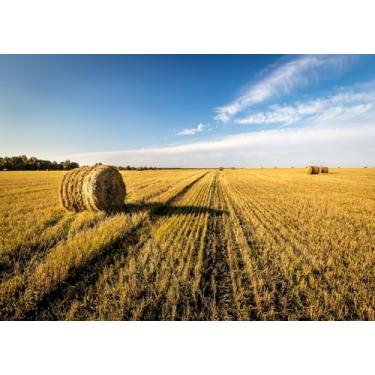 Imagem de Fmarui 1,5 x 0,9 m, outono, colheita, paisagem agrícola, outono fazenda, fardos de feno, fundo fotográfico, campo de trigo, campo ocidental, campo ocidental, decoração de festa de Ação de Graças