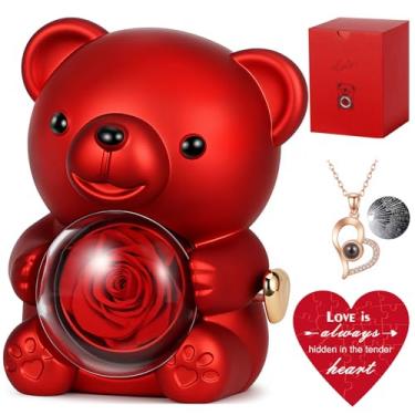 Imagem de Hangerspace Ursinho de pelúcia fofo com rosa preservada