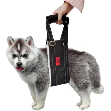 Imagem de Peitoral para cães que não puxa