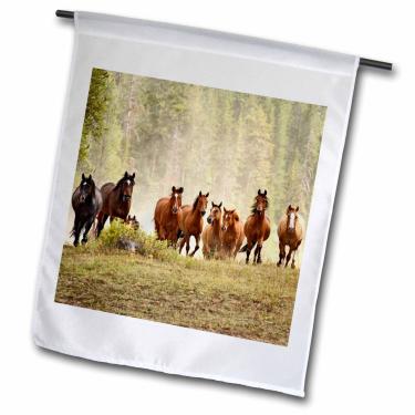Imagem de 3dRose fl_91556_1 Bandeira de jardim, 30,5 x 45,7 cm, Cavalos Cresting Small Hill During Roundup, Montana-US27 AJE0030-Adam Jones
