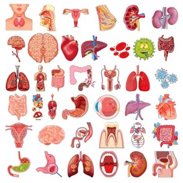 Imagem de Adesivos engraçados e realistas de órgãos humanos - 100 peças biologia coração esqueleto médico anatomia adesivos em massa para enfermeira professora, decalques de microbiologia fofos para garrafa de