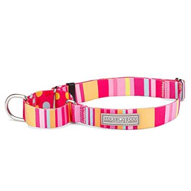 Imagem de Lucky Love Dog Coleira martingale, coleira premium antideslizante, coleira para cães pequenos, ótima para chicotes, galgos e mais (molly, pequena)