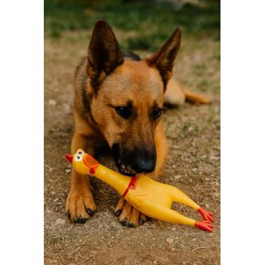 Imagem de brinquedo mordedor galinha frango com som para pet de borracha divertido com apito para cachorro cães