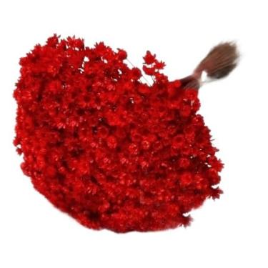 Imagem de SEMPRE VIVAS FLORZINHAS DESIDRATADAS PARA LEMBRANCINHAS ARRANJOS DE MESA CASAMENTOS MAÇO ORGANIZADO(VERMELHO)