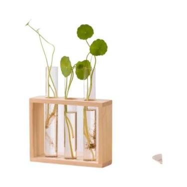 Imagem de Vaso Hidropônico Com Suporte De Madeira Para Casa E Escritório, Decora