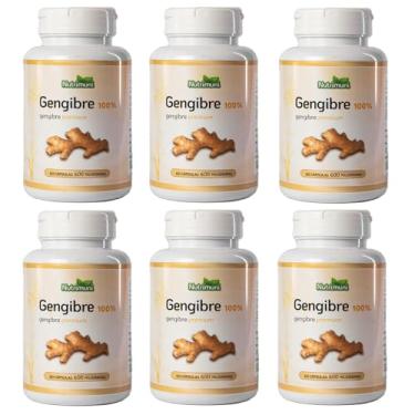 Imagem de Gengibre Premium - 6 Potes 360 Cápsulas 600mg de Gelatina (360)