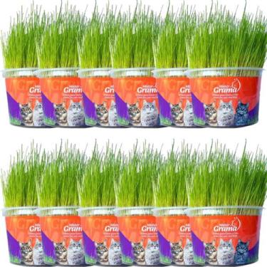 Imagem de Graminha Para Gatos Elimina Bola De Pelo Kit Com 12 UN - Mister