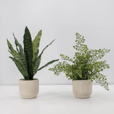 Imagem de CG Hunter Planta de cobra falsa e samambaia, conjunto de 2 plantas artificiais de interior premium, aprimora o design de interiores, folhas realistas criam aparência natural realista, vaso cinza