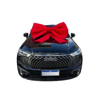 Imagem de Laço Gigante Estruturado para Decoração de Carro, Moto e Fachada