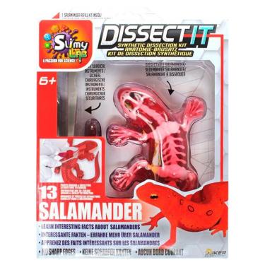Imagem de Kit De Dissecação Com Refil Lab Dissect-it - Salamandra