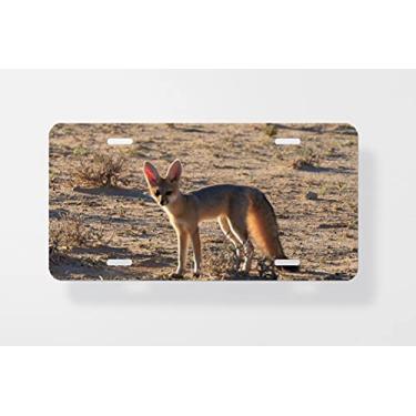 Imagem de Capa para placa de carro Bat Eared Fox – Capa para placa de carro – Capa para placa de carro 15 x 30 cm
