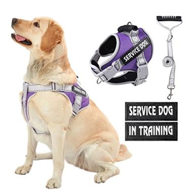 Imagem de HUSDOW Peitoral de colete para cães de serviço, sem puxar para adestramento de cães com alça e correia de 1,5 m, ajustável e refletivo, sem calços para animais de estimação pequenos para caminhar e correr (roxo, P)