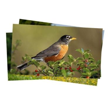Imagem de Caixa com 4 unidades do Papel Fotográfico Glossy Brilhante  230g taman