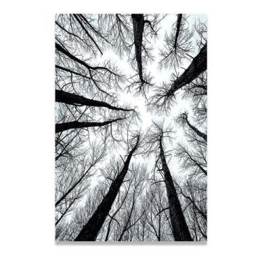 Imagem de Quadro Decorativo Galhos Secos Natureza Lindo Para Sala  - IQ Quadros