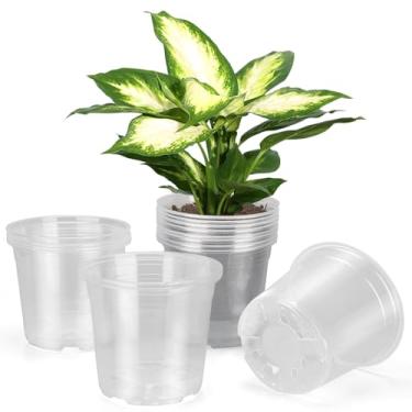 Imagem de DUNPUTE Vasos de berçário transparentes grandes de 15 cm com drenagem, pacote com 20 vasos de plástico para plantas, vasos de mudas ideais para vegetais, orquídeas, aloe, uso interno e externo (pacote