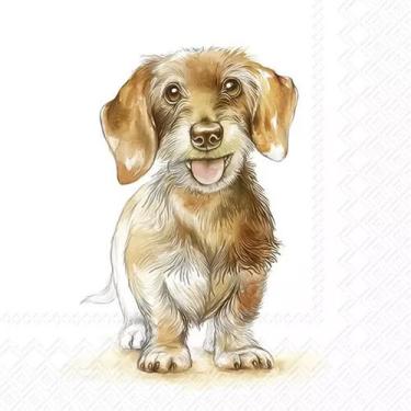 Imagem de Guardanapo para Decoupage Ihr 33x33 Cachorro Fritz com 20 Unidades - G