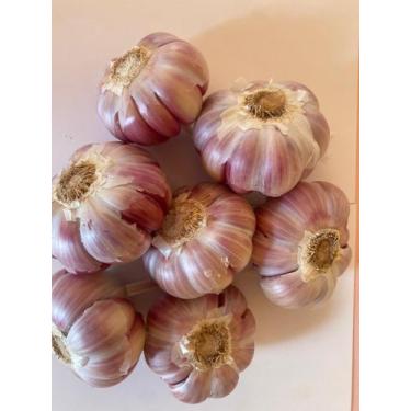 Imagem de Alho Silvestre roxo 1kg 25,00