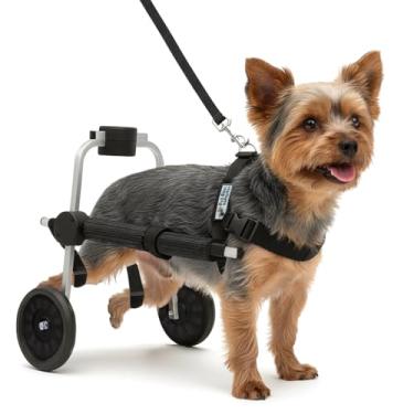 Imagem de Cadeira de 2 Rodas Para Cachorro Tam PP Ajustável Pata Traseira Paraplegia Reabilitação Paralisia Idoso Pet Best Soluções