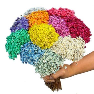 Imagem de 2000 Flores Sempre Vivas  COLORIDAS para casamentos e decoração - Viva